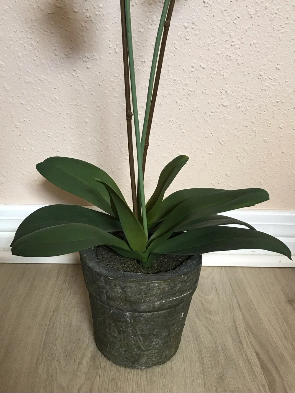 Artificial White Orchid Stem in Gray Pot - Home Accents